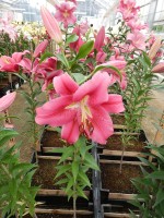 [4566 VH42 No01.JPG]